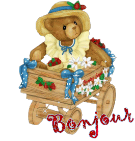 Bonjour tout le monde - Page 5 B455787e